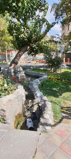 عکس کتابخانه مصطفی رحماندوست