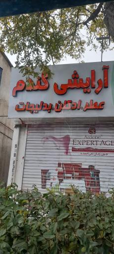 عکس آرایشی گندم