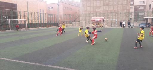 عکس زمین فوتبال کاووسیه