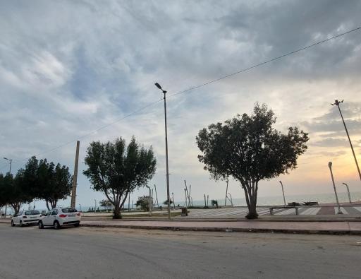 عکس پارک لیان سرتل