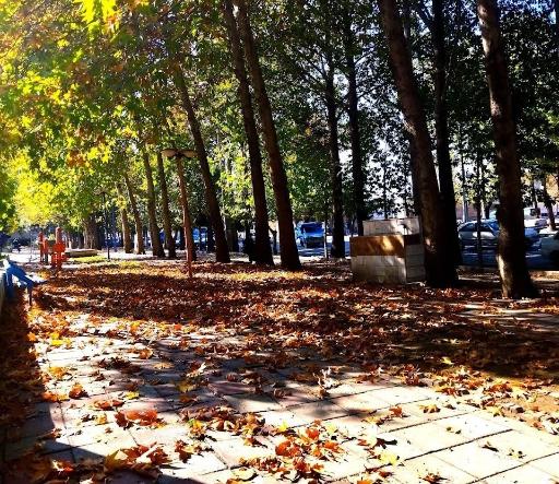 عکس پارک بهاران 