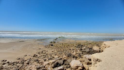 عکس پارک لیان سرتل