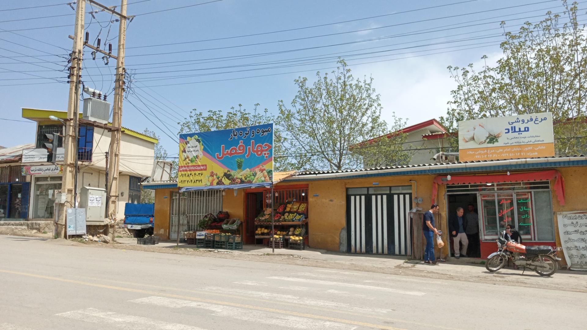عکس میوه 4فصل