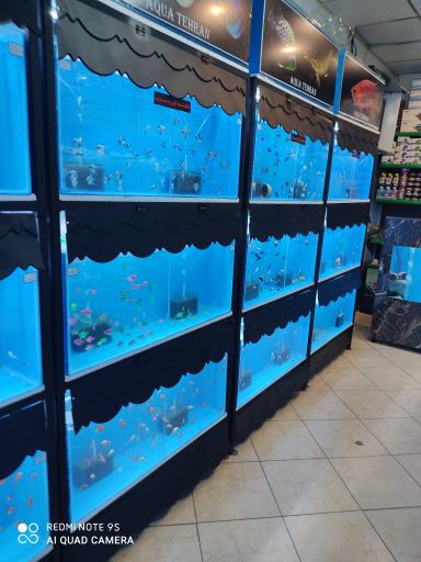 عکس آکواریوم تهران