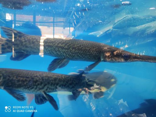 عکس آکواریوم تهران