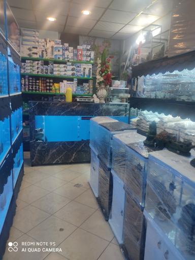 آکواریوم تهران