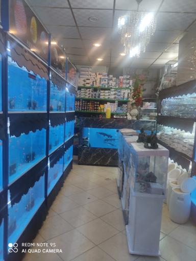 آکواریوم تهران