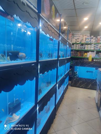 عکس آکواریوم تهران