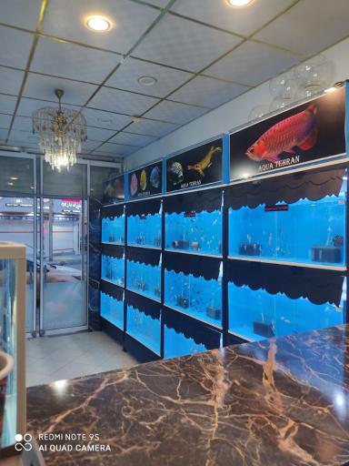 آکواریوم تهران