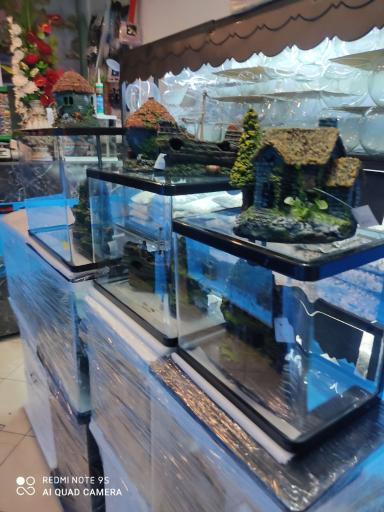 آکواریوم تهران