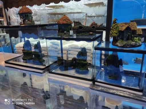 آکواریوم تهران