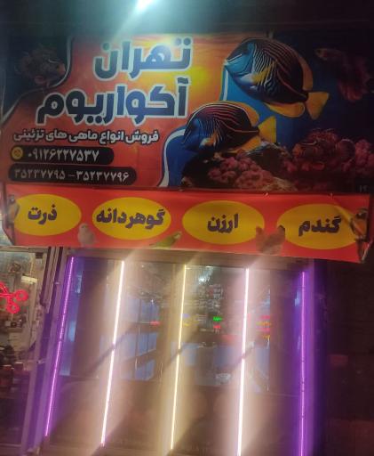 آکواریوم تهران