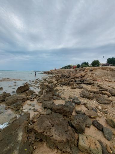 عکس پارک لیان سرتل