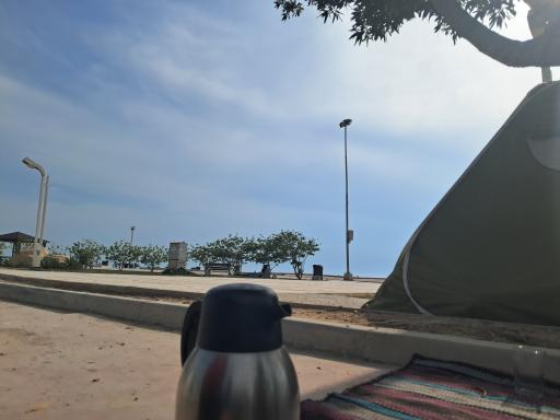 پارک لیان سرتل