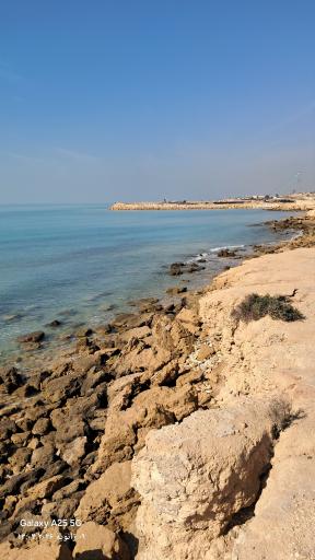 عکس پارک لیان سرتل