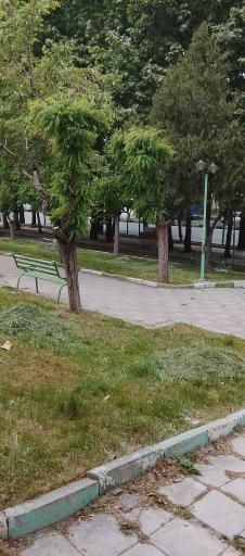 عکس پارک بهاران 