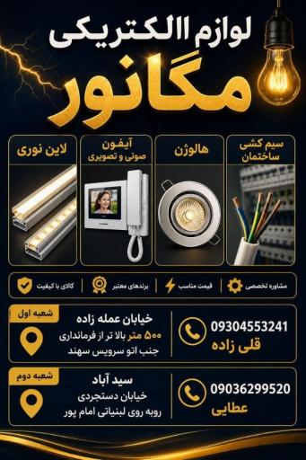 عکس لوازم الکتریکی مگانور (شعبه اول)