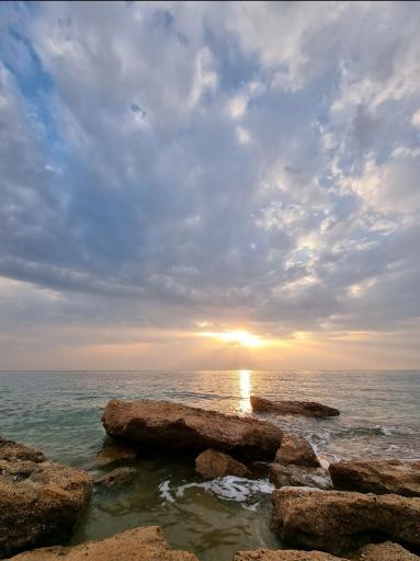 عکس پارک لیان سرتل