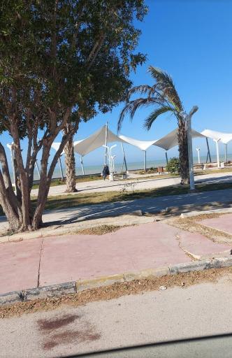 عکس پارک لیان سرتل