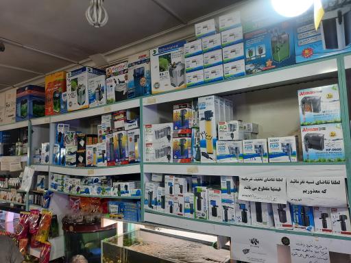 عکس آکواریوم نمو