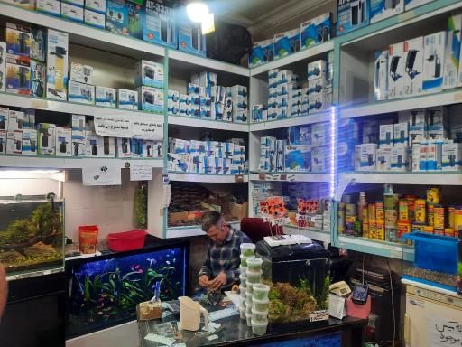 عکس آکواریوم نمو