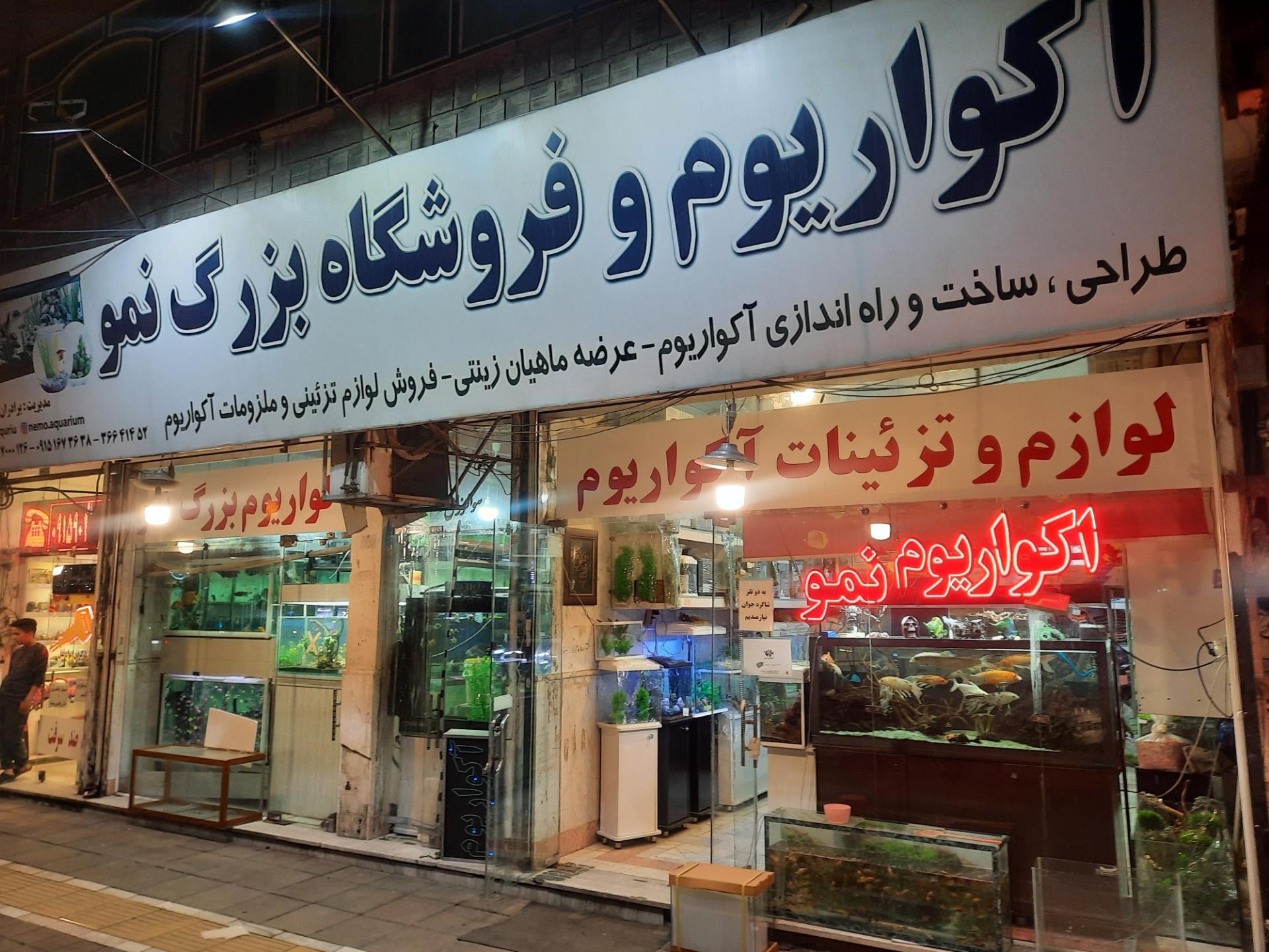 عکس آکواریوم نمو