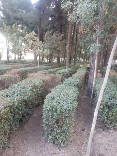 عکس بوستان شهید آخوندی