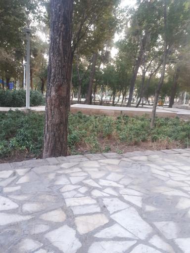 عکس بوستان شهید آخوندی