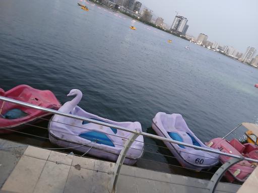 عکس خدمات اجاره قایق