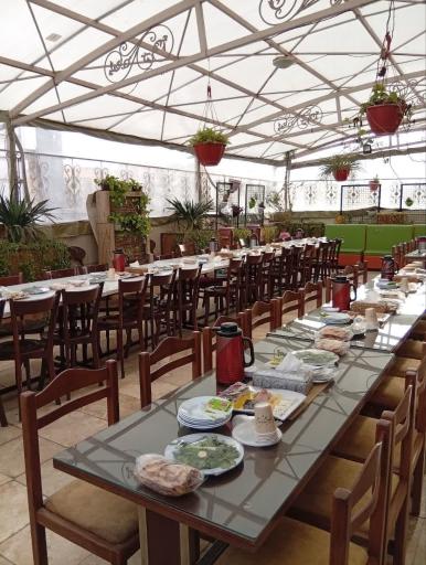 عکس مجموعه غذایی برگ زیتون