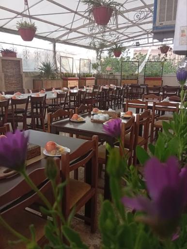 عکس مجموعه غذایی برگ زیتون