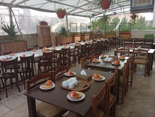 مجموعه غذایی برگ زیتون