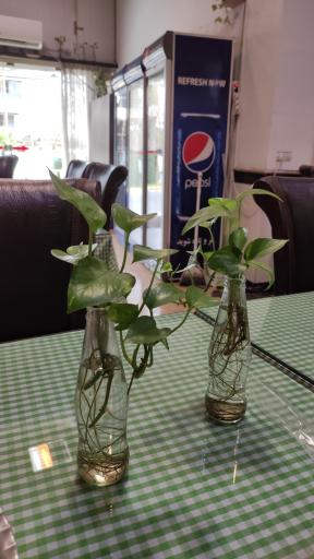 عکس رستوران میزبان