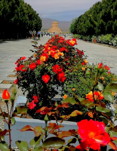 عکس آرامگاه کوروش بزرگ