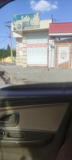 عکس آش دادلی