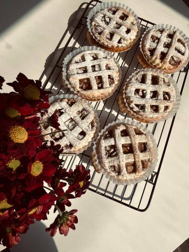 عکس دسرکده بهار