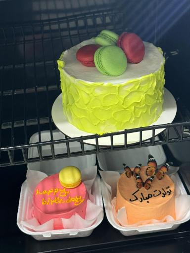 عکس دسرکده بهار