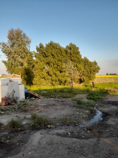 عکس رستوران قره تپه