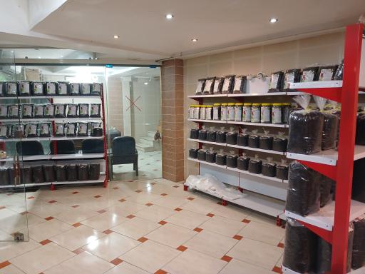 عکس فروشگاه چای نو لاهیجان