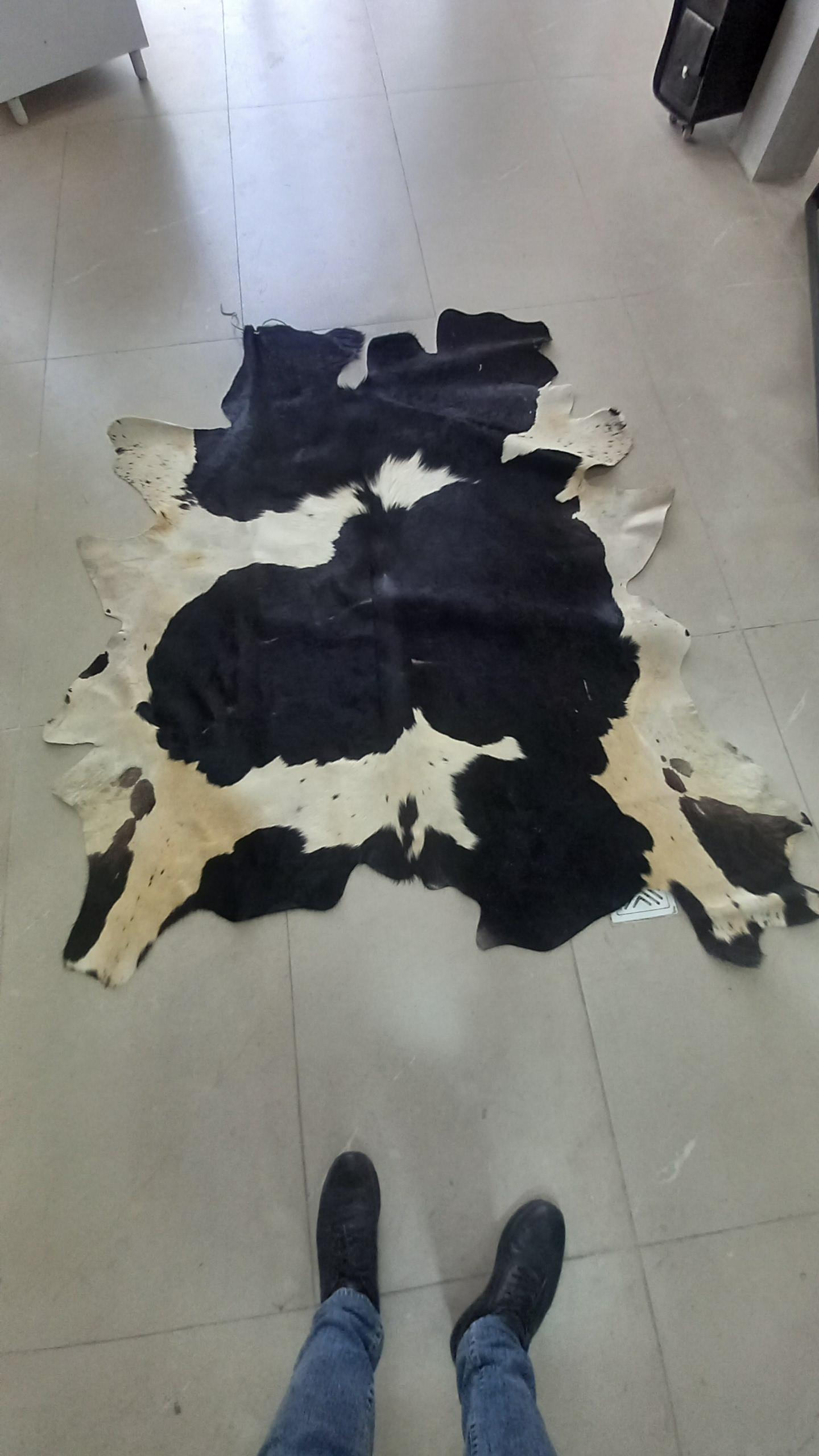 عکس چرم آریا 