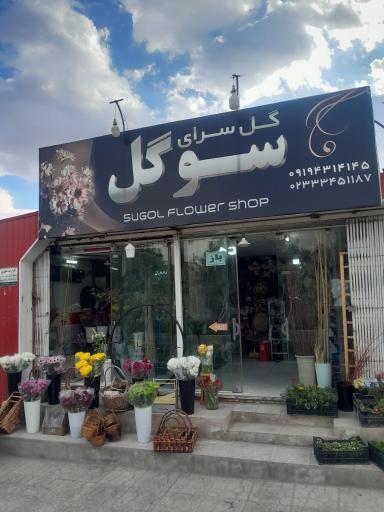 عکس گلسرای سوگل