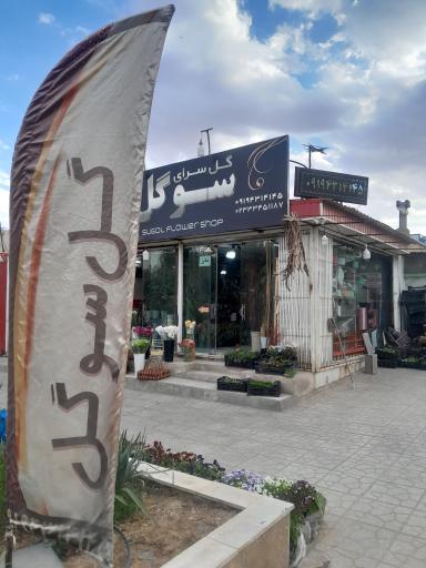 عکس گلسرای سوگل