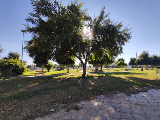 عکس پارک حافظ