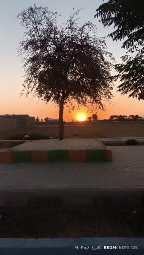 عکس پارک کوشک