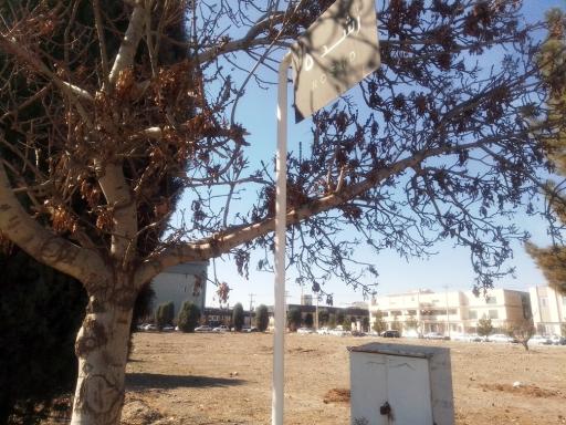 عکس شرکت احیا درمان پیشرفته