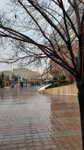 عکس دانشگاه غیرانتفاعی شهاب دانش