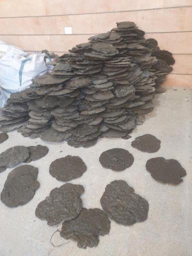 عکس اکسدور آذرخش