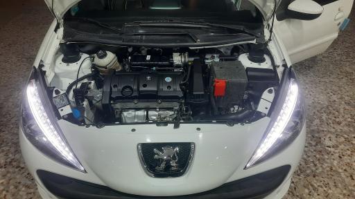 عکس تاپ سرویس همایون