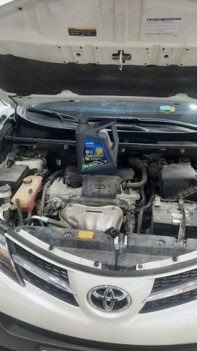 عکس تاپ سرویس همایون