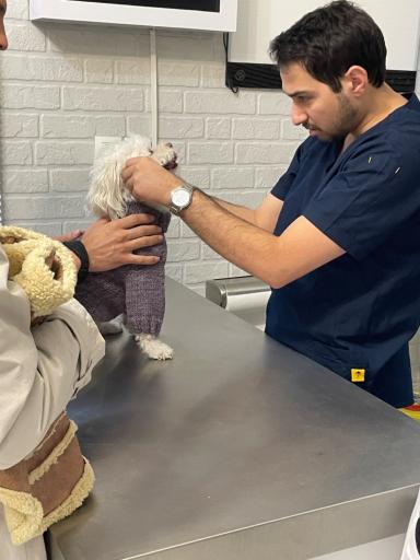 عکس بیمارستان دامپزشکی ماندگار